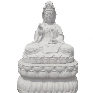 滅絕的卡羅來(lái)納鸚鵡驚現(xiàn)花園中